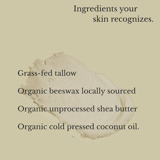 Lip Balm Tallow + Shea Butter